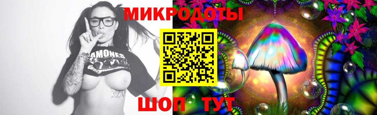 Нурлат  Галлюциногенные грибы Psilocybe  Вход с VPN 